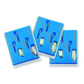 Dentsply EasyPost dental set featuring three color-coded trays for precise dental applications
